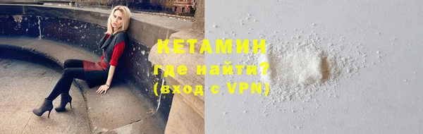 шишки Абаза