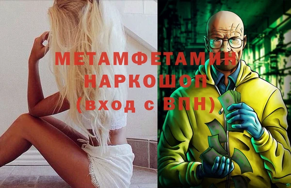 шишки Абаза