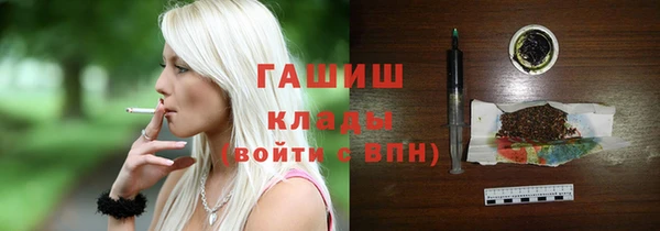 шишки Абаза