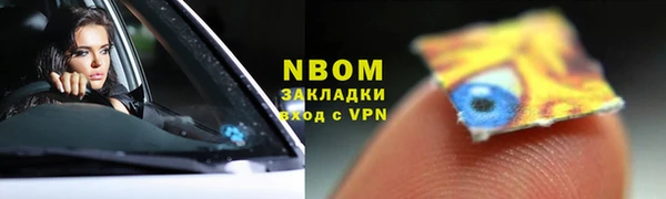 шишки Абаза