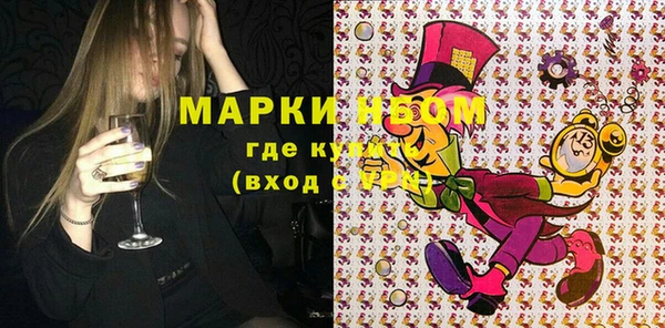 шишки Абаза