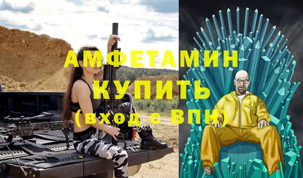 шишки Абаза
