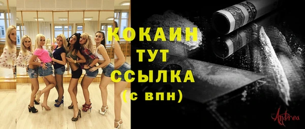 дмт Абинск