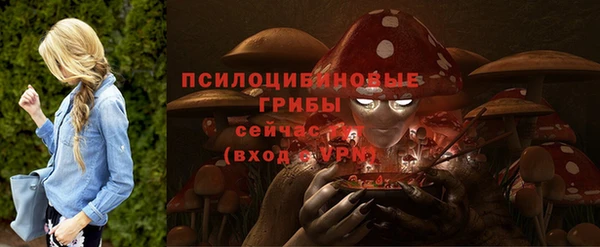 шишки Абаза